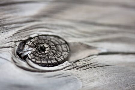 wood textureの写真素材