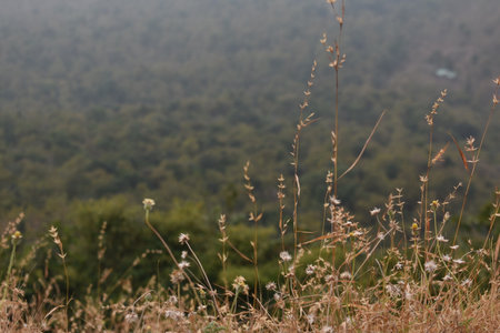 Kajligar Fort, Mahadev Indore, Indiaの写真素材