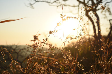 Kajligar Fort, Mahadev Indore, Indiaの写真素材