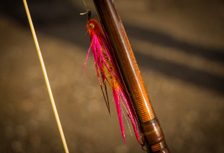 A macro shot of a wet pink instruder pacific salmon fly, fixed on a spey rod.
