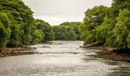 Looking downstream on a tree lined the River Dee at Barstibly near Kirkcudbright, Galloway, Scotland