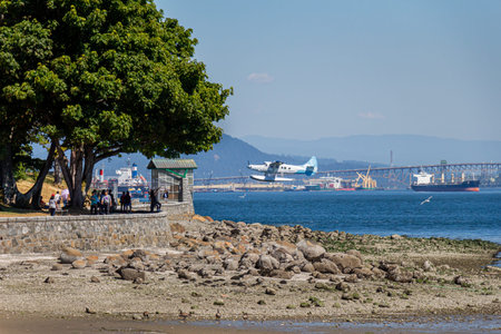 Vancouver, Canada - July 27th 2017: A float plane taking off from Coal Harbour and passing Stanley...