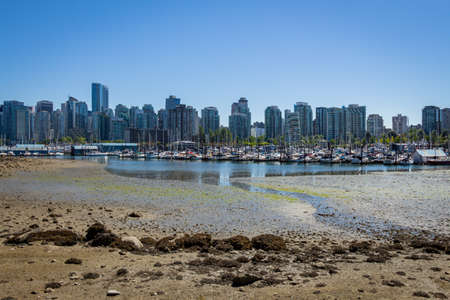 Low tide in Coal Harbour, Vancouver, on a summers day, from Stanley Park, Vancouver, British Columbia, Canadaの写真素材