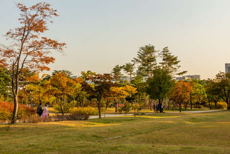 The grounds of Gyeongbokgung Palace in autumn colours in late afternoon, Seoul, South Koreaのeditorial素材