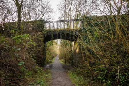 Road bridge at Lodge of Kelton over the old Paddy Line or Galloway railway line at Threave Estate, Douglas, Scotlandの写真素材