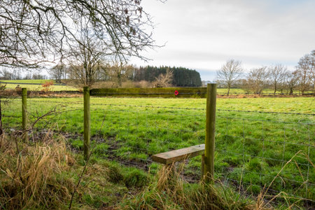 A poppy fixed to a fence style on a countryside trailの写真素材