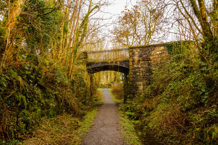 Road bridge at Lodge of Kelton over the old Paddy Line or Galloway railway line at Threave Estate,...