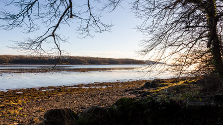 River Dee estuary on a winter morning at Kirkcudbright, Dumfries and Galloway, Scotland