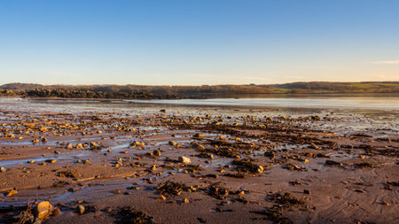 Cobble, mud and sea weed at low tide on a cold winter morning at sunrise, Dee estuary, Dhoon Bay,...
