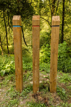 Unmarked wooden coloured trail posts in a woodlandの写真素材