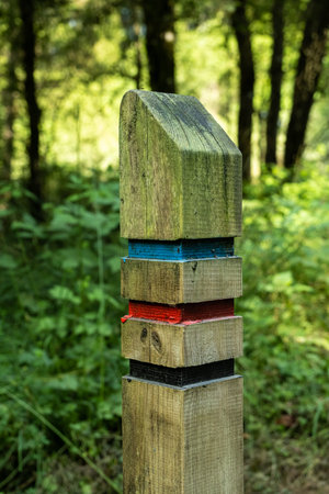 Close up of a three colour trail sign post on a forest trail in Scotland