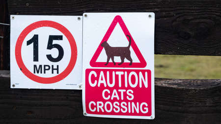 Red triangle caution cats crossing sign and speed limitの写真素材