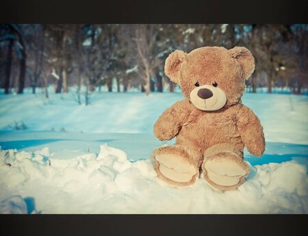 Christmas. Cute Teddy with snow. Bearの写真素材