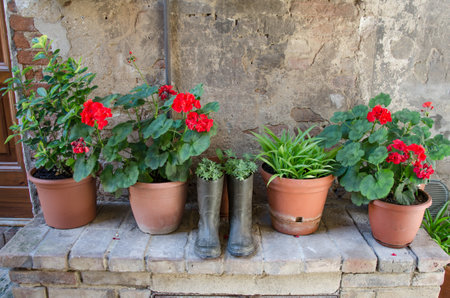 Flowers in a pot, Italian style decorations of housesの写真素材