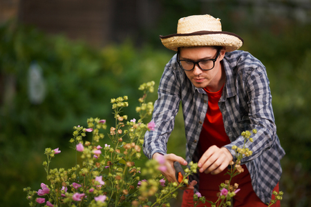 Portrait of young guy gardener in straw hat cut the bushes in the greenhouseの写真素材