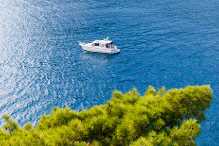 Russia, New World,Trail Golitsyn, 13/09/2016 Relict pine tree on background of sailing boat on sea in afternoonのeditorial素材