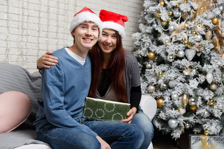 Guy with girl in Christmas tree in Christmas interiorの写真素材