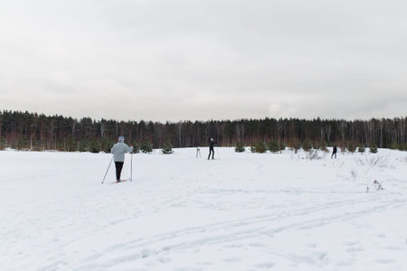 Woman skiing in winter woodsの写真素材