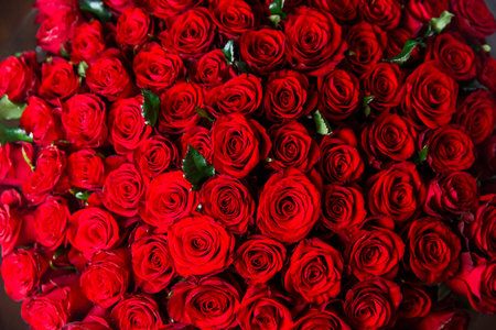Beautiful red roses, floral textureの写真素材
