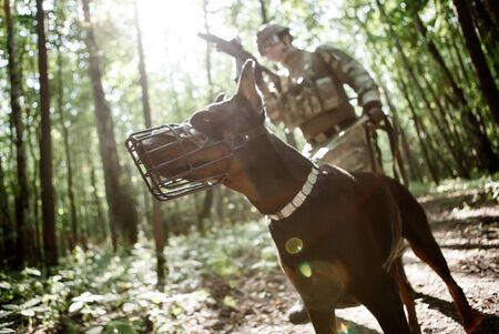 Photo of military man with dogの写真素材