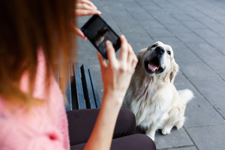 Photo of woman on bench photographing dog