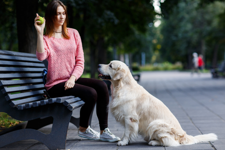Image of woman with ball sitting on bench, dogの写真素材