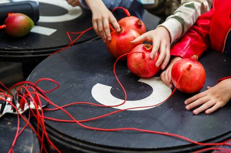 Picture of pomegranates and mangoes with red wires on black tableの写真素材