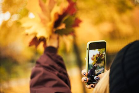Close-up of womans hand holding smartphone photographing autumn leavesの写真素材