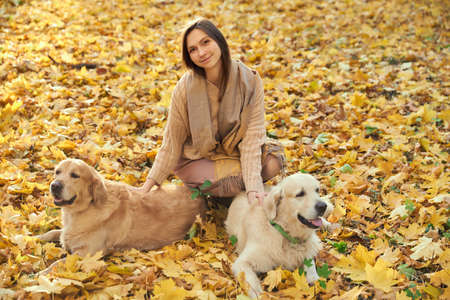 Beautiful girl with two golden retrievers in parkの写真素材