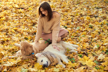 Beautiful girl with two golden retrievers in parkの写真素材