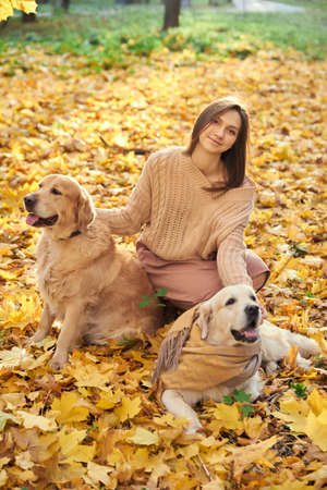 Beautiful girl with two golden retrievers in parkの写真素材