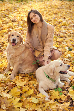 Beautiful girl with two golden retrievers in parkの写真素材