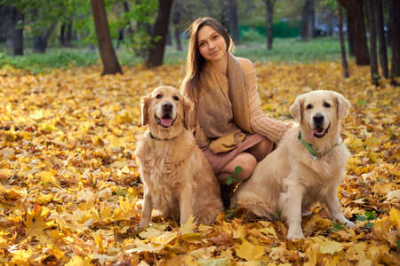 Beautiful girl with two golden retrievers in parkの写真素材