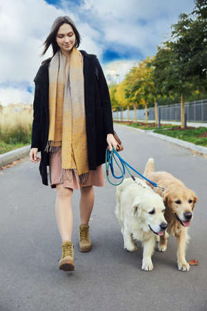 Beautiful girl with two golden retrievers in parkの写真素材