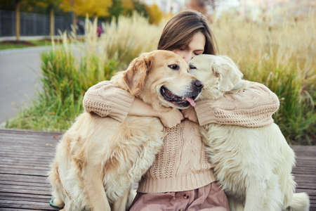 beautiful girl hugs two golden retrievers. Outdoorの写真素材