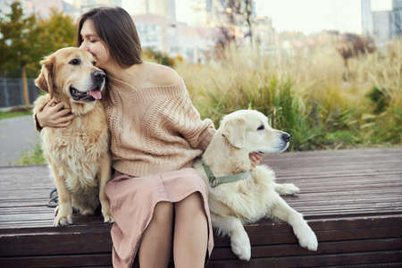 beautiful girl hugs two golden retrievers. Outdoorの写真素材