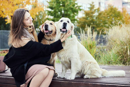beautiful girl hugs two golden retrievers. Outdoorの写真素材