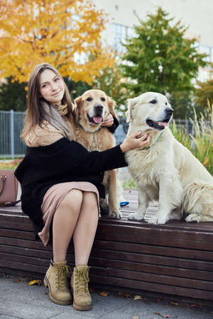 beautiful girl hugs two golden retrievers. Outdoorの写真素材