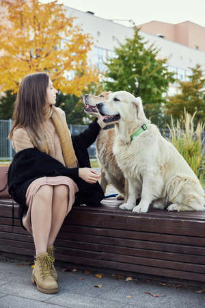 beautiful girl hugs two golden retrievers. Outdoorの写真素材
