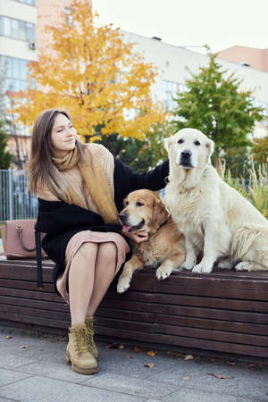 beautiful girl hugs two golden retrievers. Outdoorの写真素材