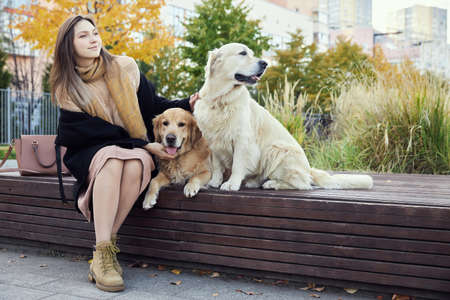 beautiful girl hugs two golden retrievers. Outdoorの写真素材