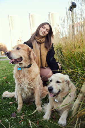 Beautiful girl with two golden retrievers in parkの写真素材