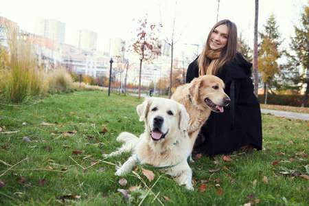 Beautiful girl with two golden retrievers in parkの写真素材