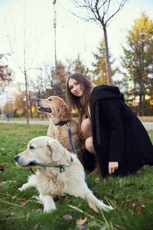 Beautiful girl with two golden retrievers in parkの写真素材