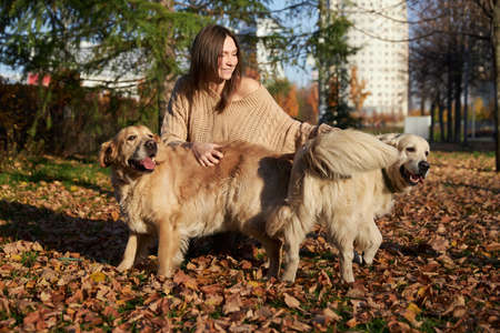 Beautiful girl with two golden retrievers in parkの写真素材