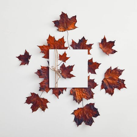 Dried autumn leaves flat lay. Colorful maple leafage tied with rope on paper. Beautiful botanical seasonal foliage composition on white background. Natural decoration idea. Fall season conceptの写真素材