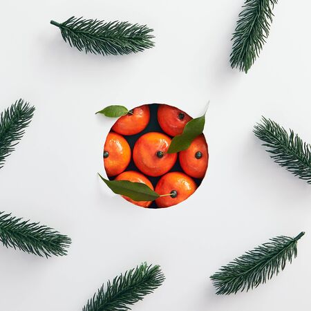 Tangerines with tree branch over white background. Christmas backgroundの写真素材