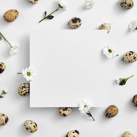 Minimal creative layout - Easter composition on white background with square paper blank. Quail eggs and white flower top view. Spring minimal composition. Natural easter concept.の写真素材
