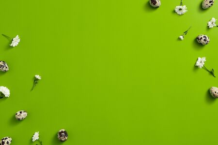 Spring minimal concept. Creative easter flat lay. Quail eggs with flower top view. Green background with copy space.の写真素材