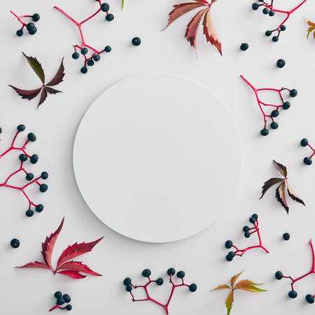 Autumn minimal composition - Vine red and green leaves background. Green and red ivy on white...